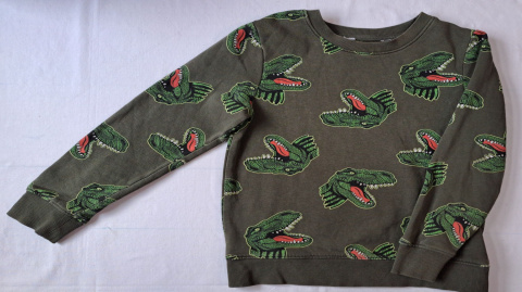 Bluza dziecięca H&M dinozaury Bluza dziecięca H&M dinozaury