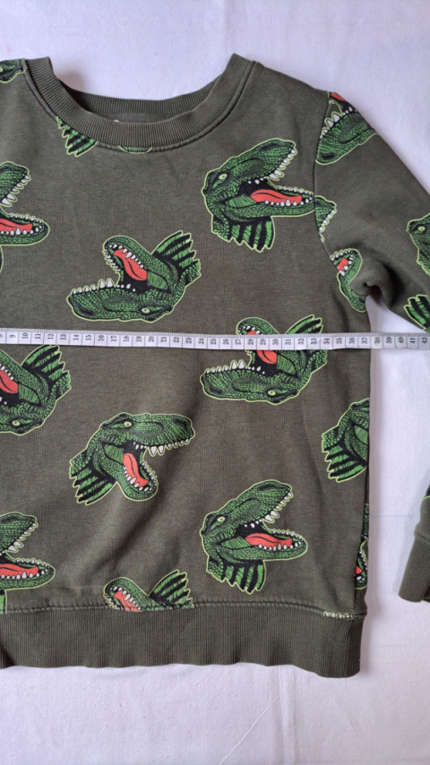 Bluza dziecięca H&M dinozaury Bluza dziecięca H&M dinozaury
